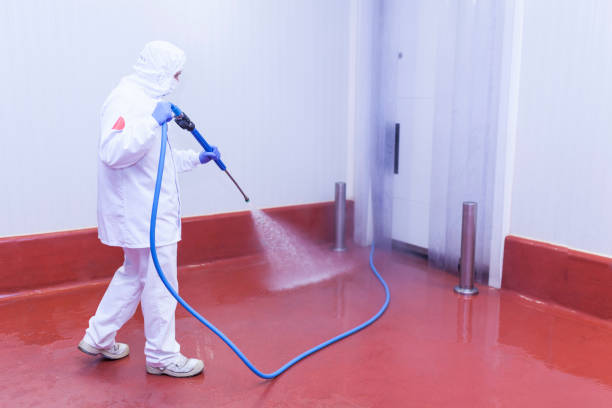 Best Pre-Holiday Cleaning  in Wickliffe, OH